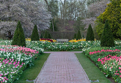 Longwood Gardens Coupons