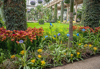 Longwood Gardens Coupons