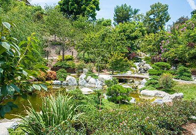 Japanese Friendship Garden San Diego Coupons