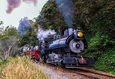 Skunk Train Coupons