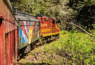 Skunk Train Coupons