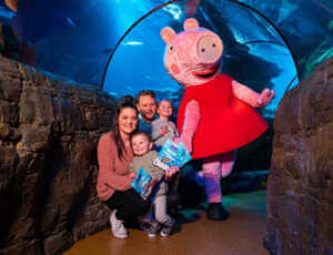 Sea Life Blackpool Coupons